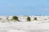 terschelling2023_203_small.jpg