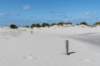 terschelling2023_204_small.jpg