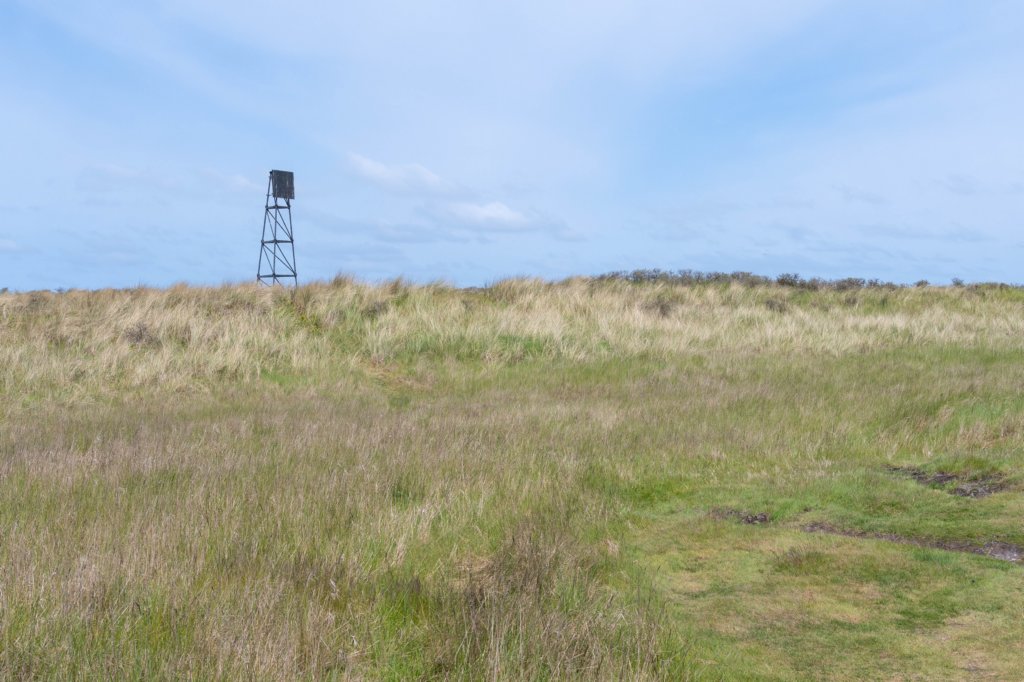 terschelling2023_206.jpg
