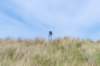 terschelling2023_207_small.jpg