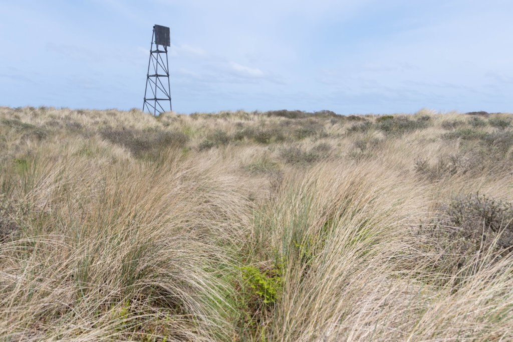 terschelling2023_208.jpg