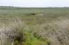 terschelling2023_209_small.jpg