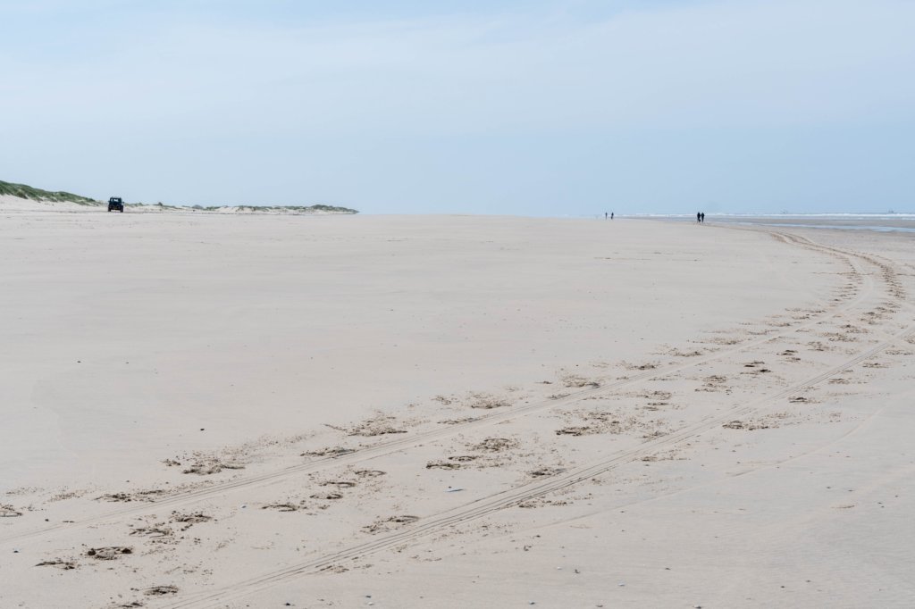 terschelling2023_210.jpg