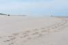 terschelling2023_210_small.jpg
