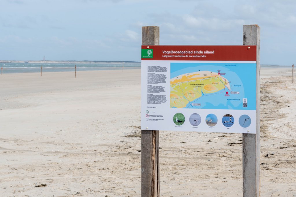 terschelling2023_212.jpg