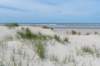 terschelling2023_214_small.jpg
