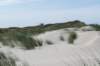 terschelling2023_215_small.jpg