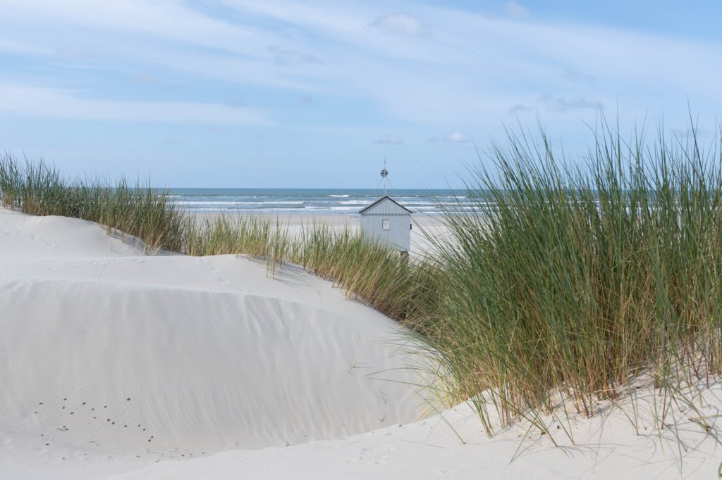 terschelling2023_231.jpg
