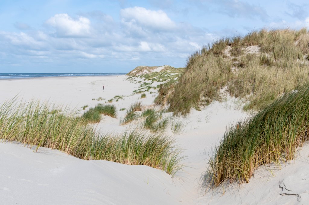 terschelling2023_234.jpg