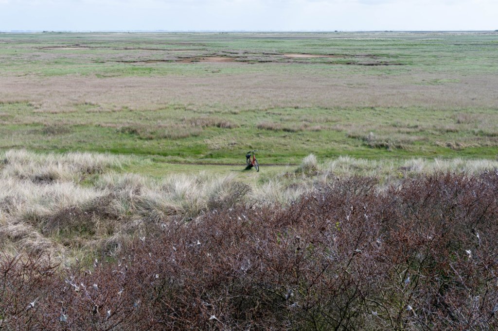 terschelling2023_238.jpg