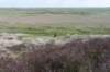 terschelling2023_238_small.jpg