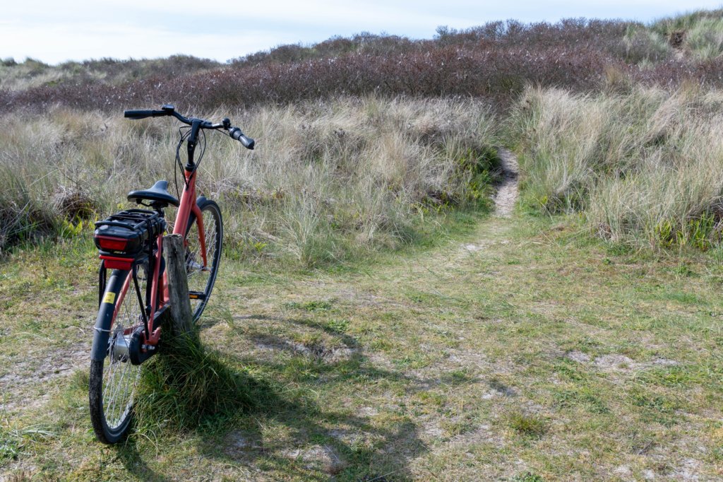 terschelling2023_239.jpg