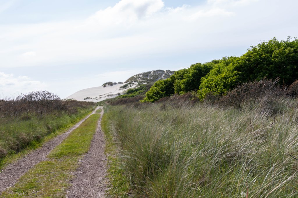 terschelling2023_241.jpg
