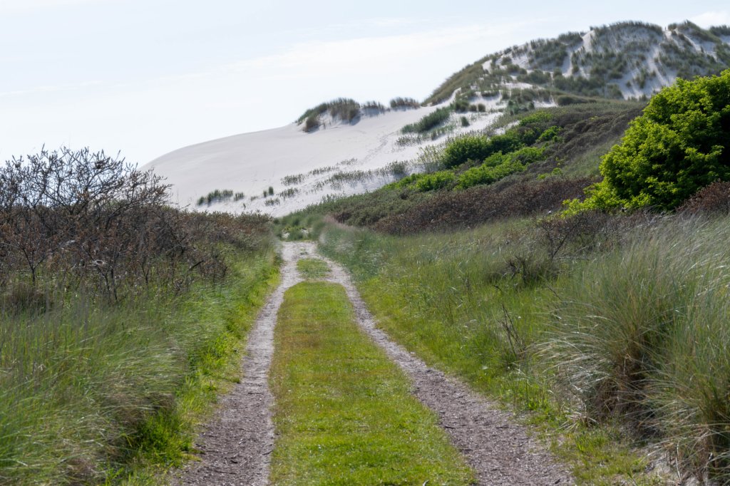 terschelling2023_243.jpg