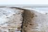 terschelling2023_245_small.jpg