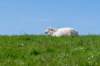 terschelling2023_246_small.jpg