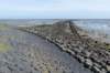 terschelling2023_247_small.jpg