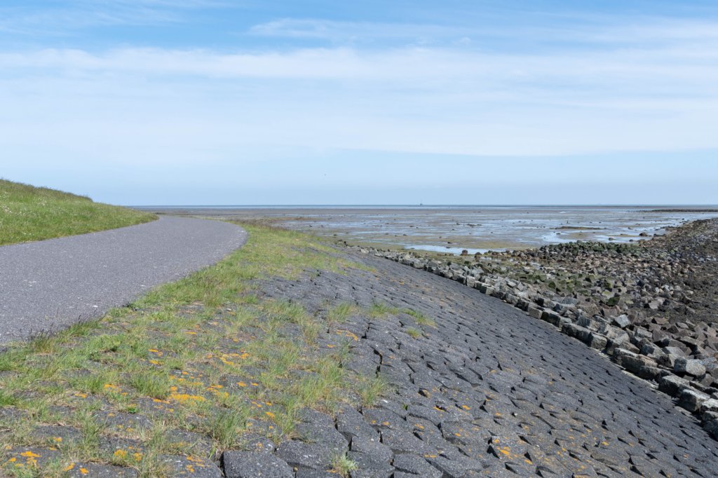 terschelling2023_248.jpg