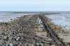 terschelling2023_249_small.jpg