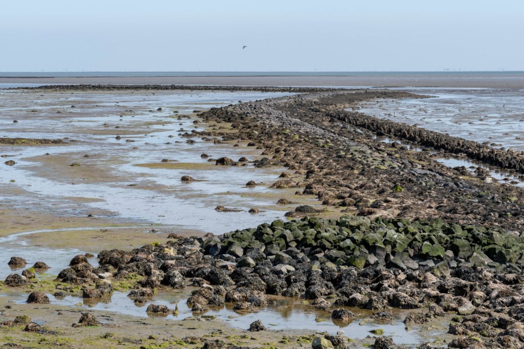 terschelling2023_250.jpg