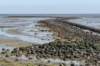 terschelling2023_250_small.jpg