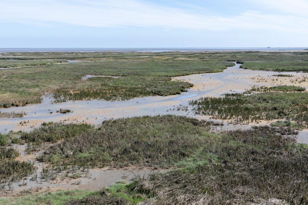 terschelling2023_254.jpg