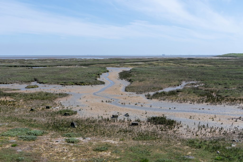 terschelling2023_255.jpg