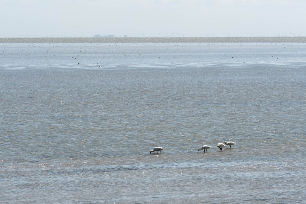 terschelling2023_257.jpg