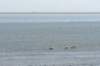 terschelling2023_257_small.jpg