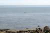 terschelling2023_258_small.jpg
