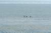 terschelling2023_259_small.jpg