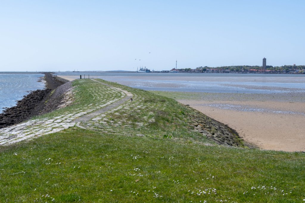 terschelling2023_261.jpg