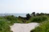 terschelling2023_268_small.jpg