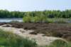 terschelling2023_278_small.jpg