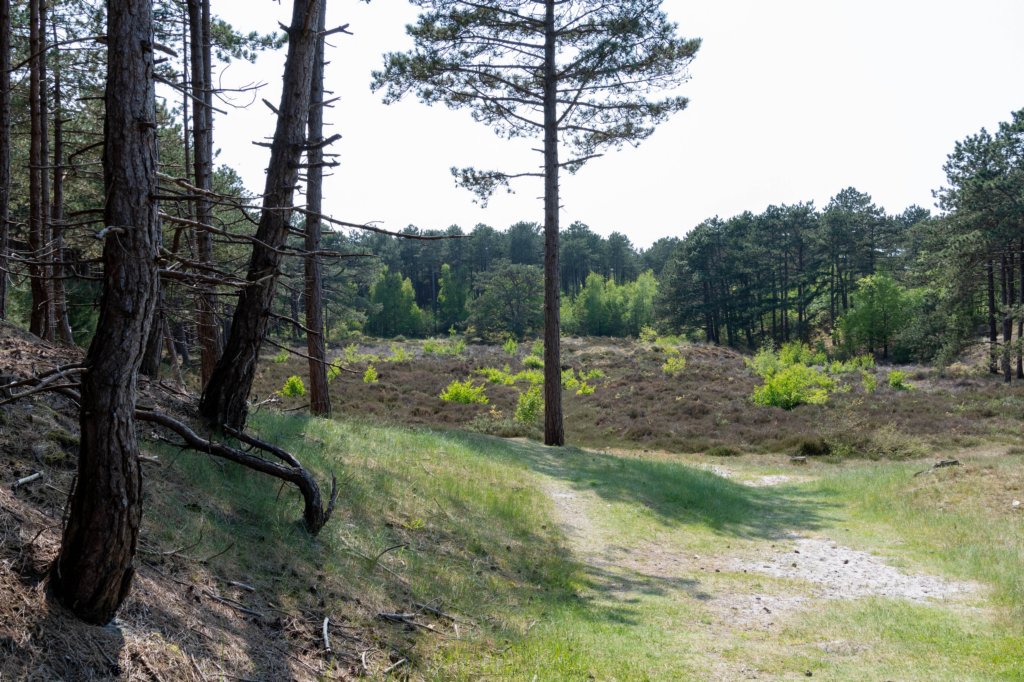 terschelling2023_283.jpg