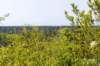 terschelling2023_287_small.jpg