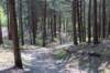 terschelling2023_289_small.jpg