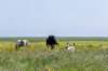 terschelling2023_291_small.jpg