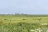 terschelling2023_292_small.jpg