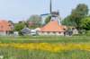 terschelling2023_293_small.jpg