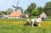 terschelling2023_294_small.jpg