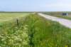 terschelling2023_295_small.jpg