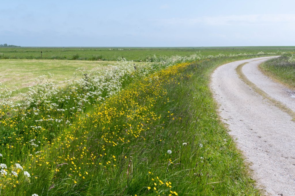 terschelling2023_296.jpg