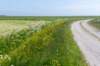 terschelling2023_296_small.jpg