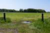 terschelling2023_300_small.jpg