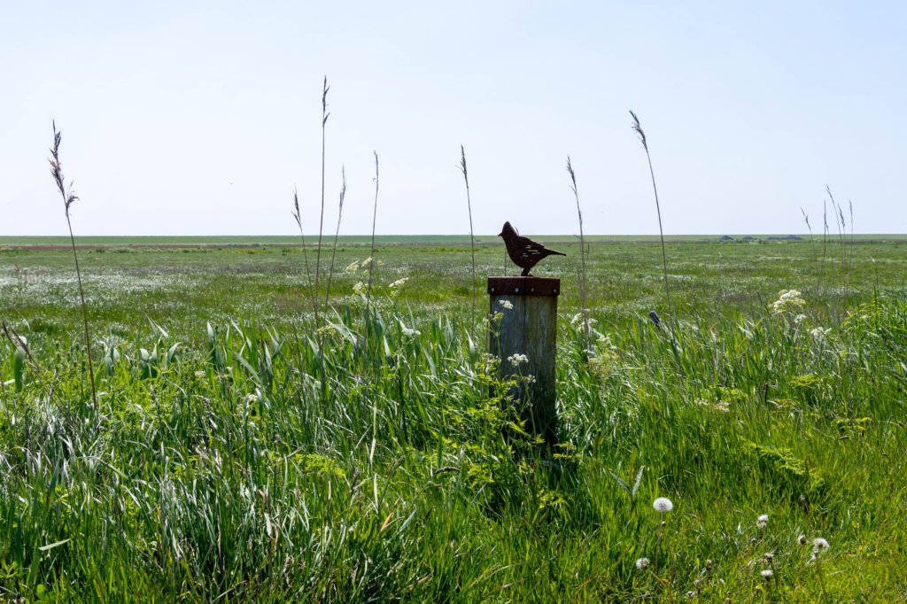 terschelling2023_301.jpg