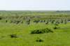terschelling2023_307_small.jpg