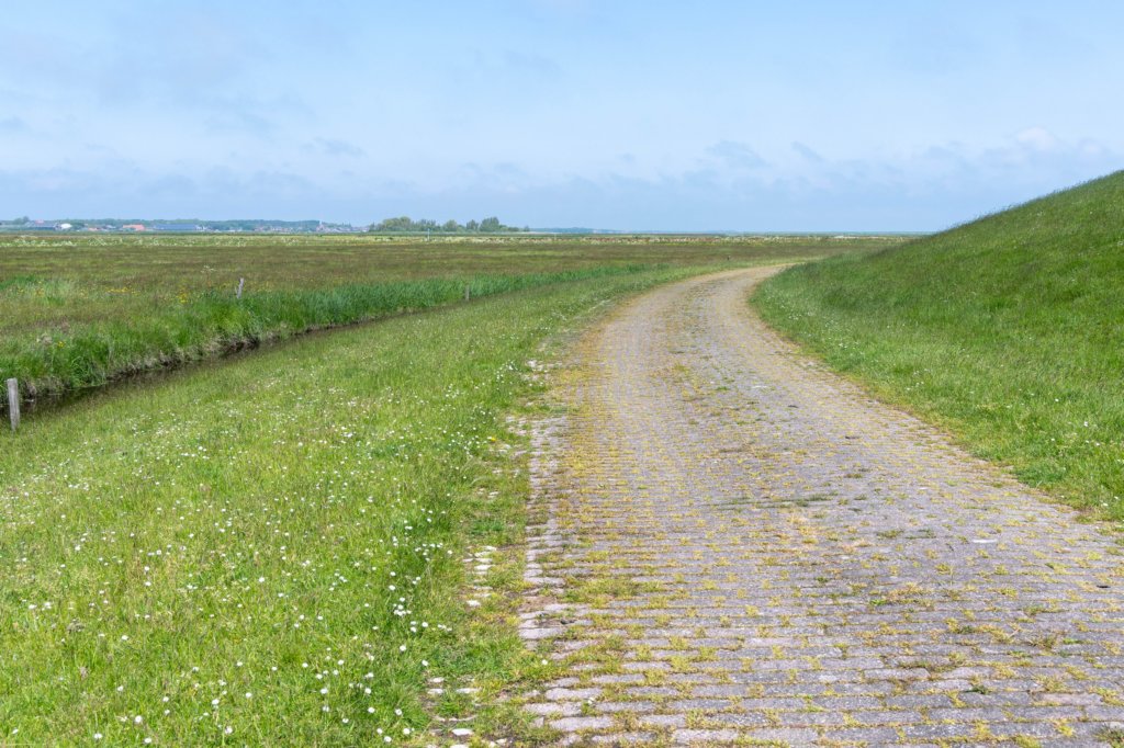 terschelling2023_309.jpg