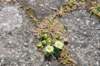 terschelling2023_311_small.jpg
