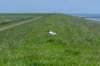 terschelling2023_313_small.jpg